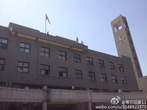 中央美院爆料事件最新,真相与争议的交织